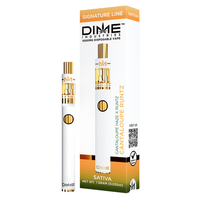 Dime Industries Cantaloupe Runtz 1000mg All In One Device - Dime Extracts